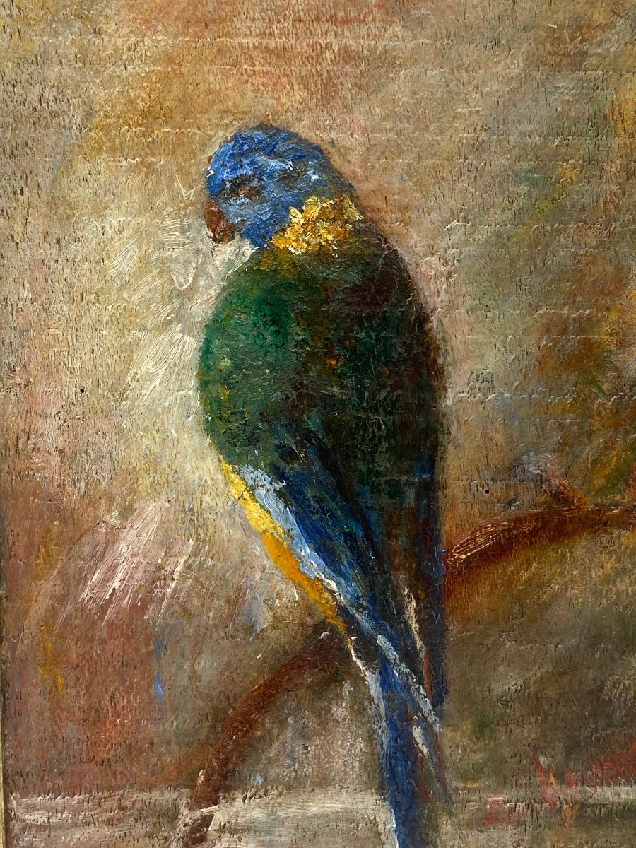 Oil On Panel: A Parakeet Perched On Its Branch-photo-4