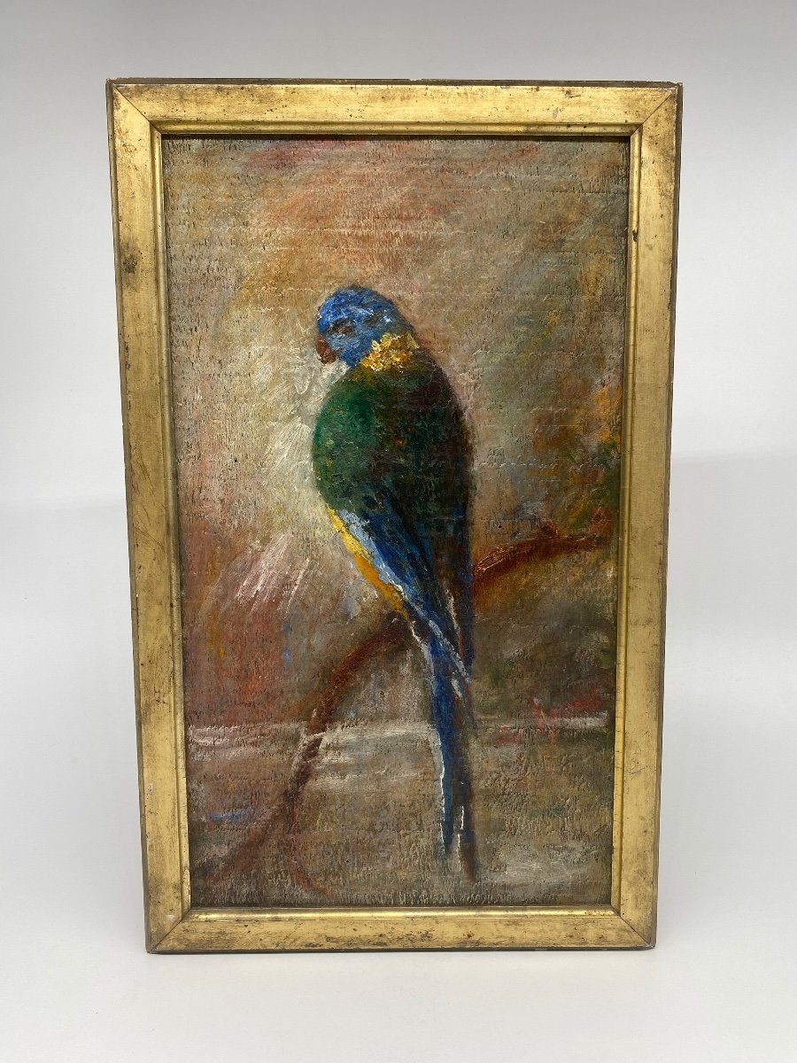 Oil On Panel: A Parakeet Perched On Its Branch-photo-2