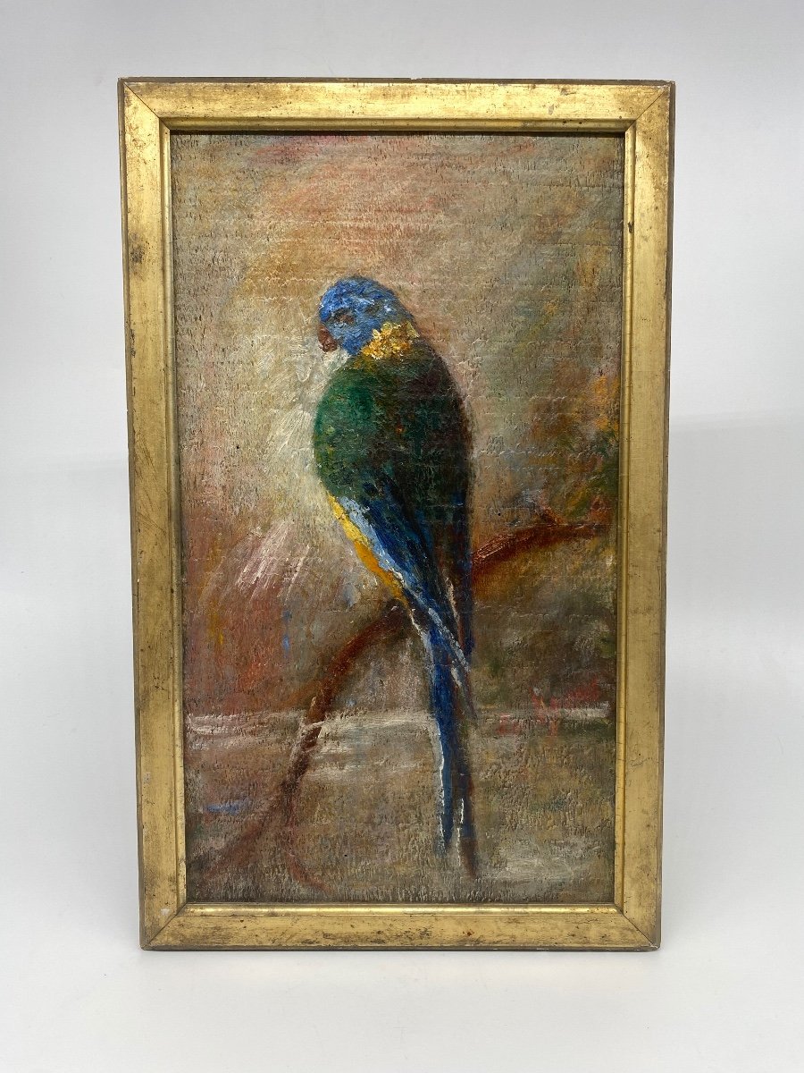 Oil On Panel: A Parakeet Perched On Its Branch