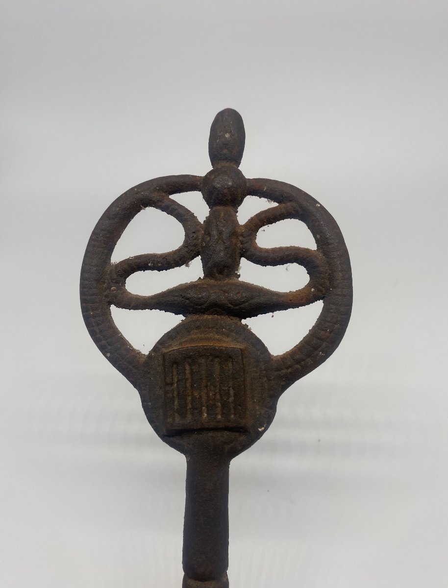 Ironwork: Imposing And Heavy Double-bit Snake Key-photo-3