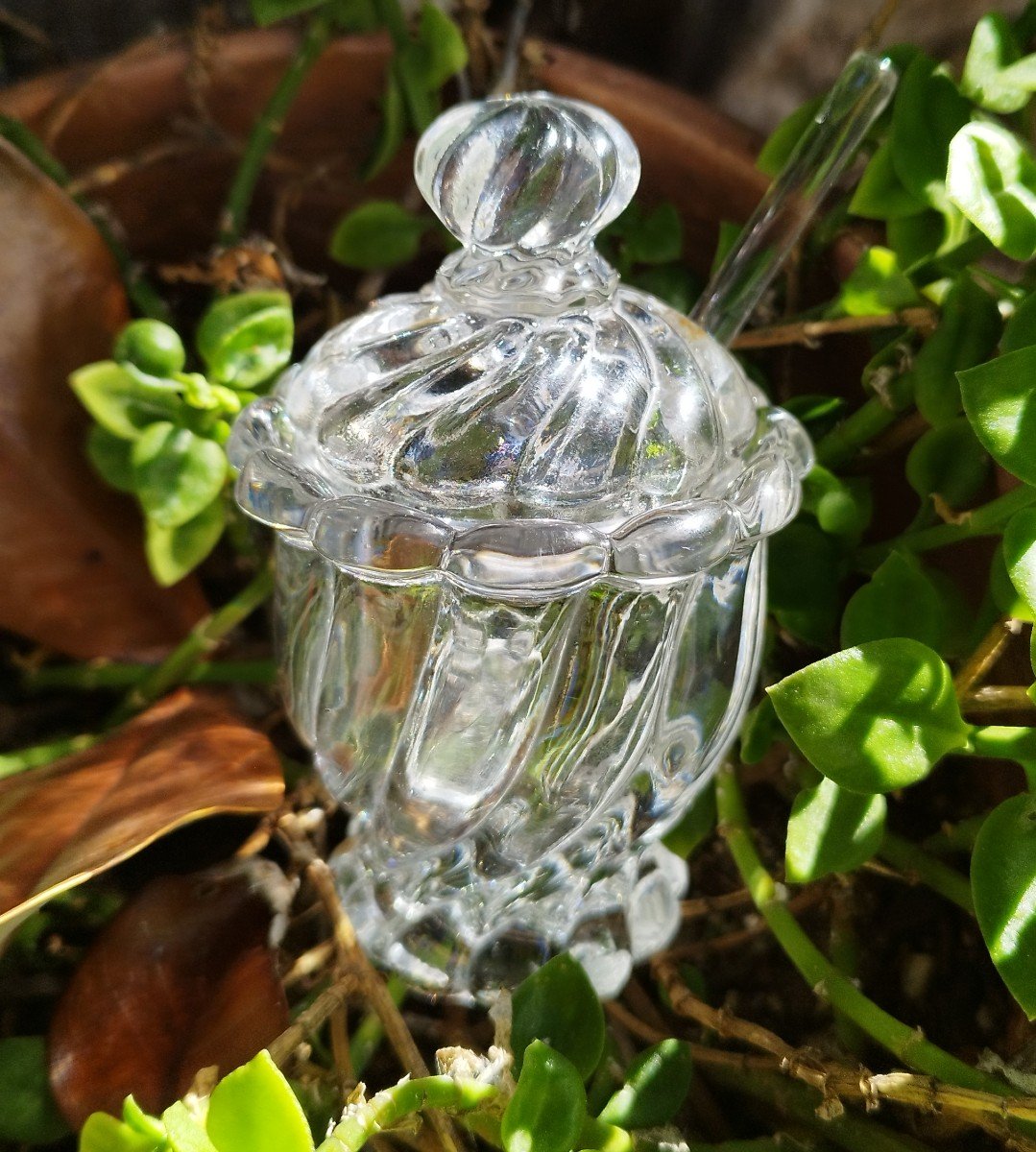 Moutardier En Cristal Baccarat Modèle Bambou-photo-4