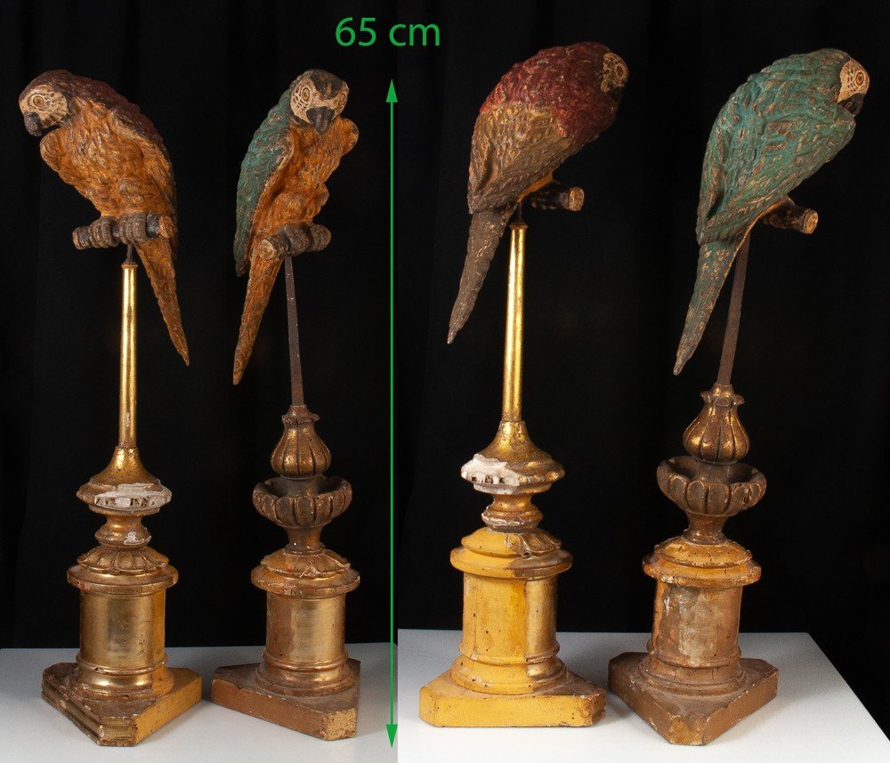 Paire De Perroquets En Bois Polychrome Venise XVIIIe-photo-4