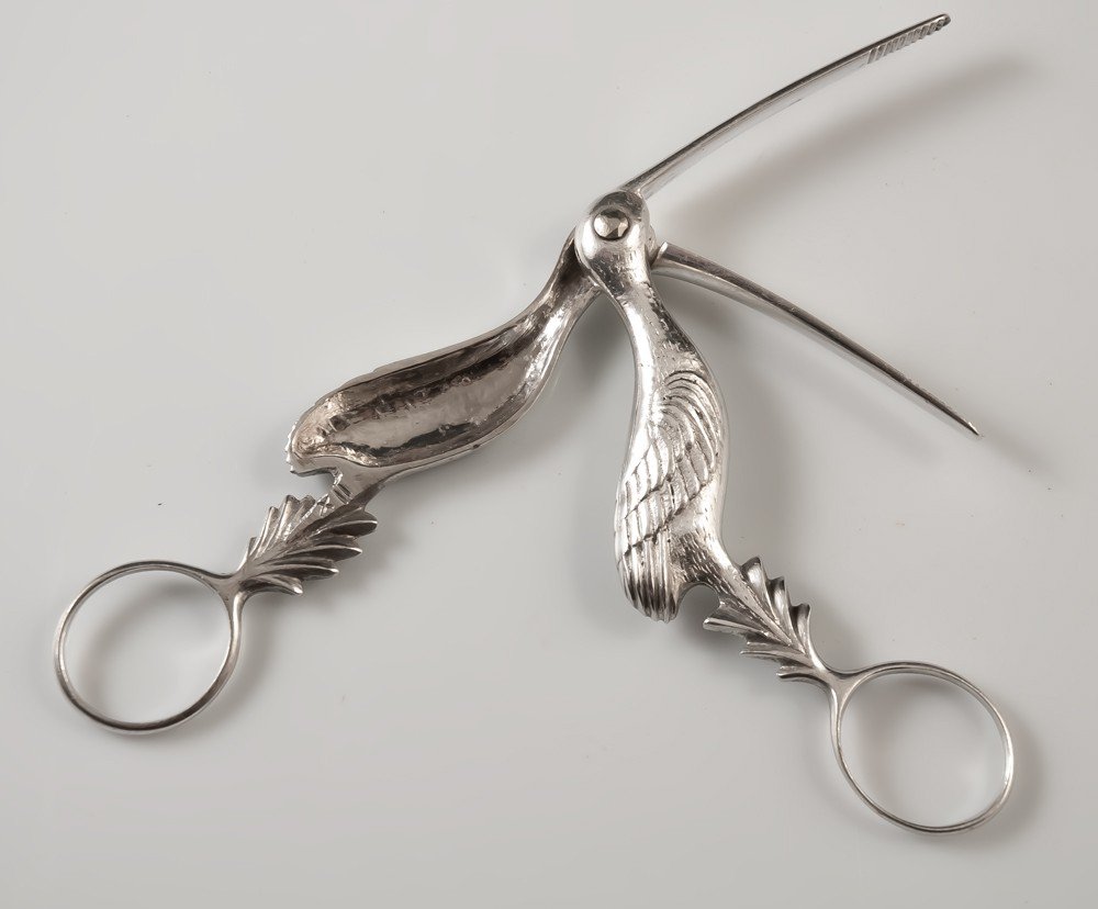 Pair Of Midwife Scissors / Medical Tool-photo-2