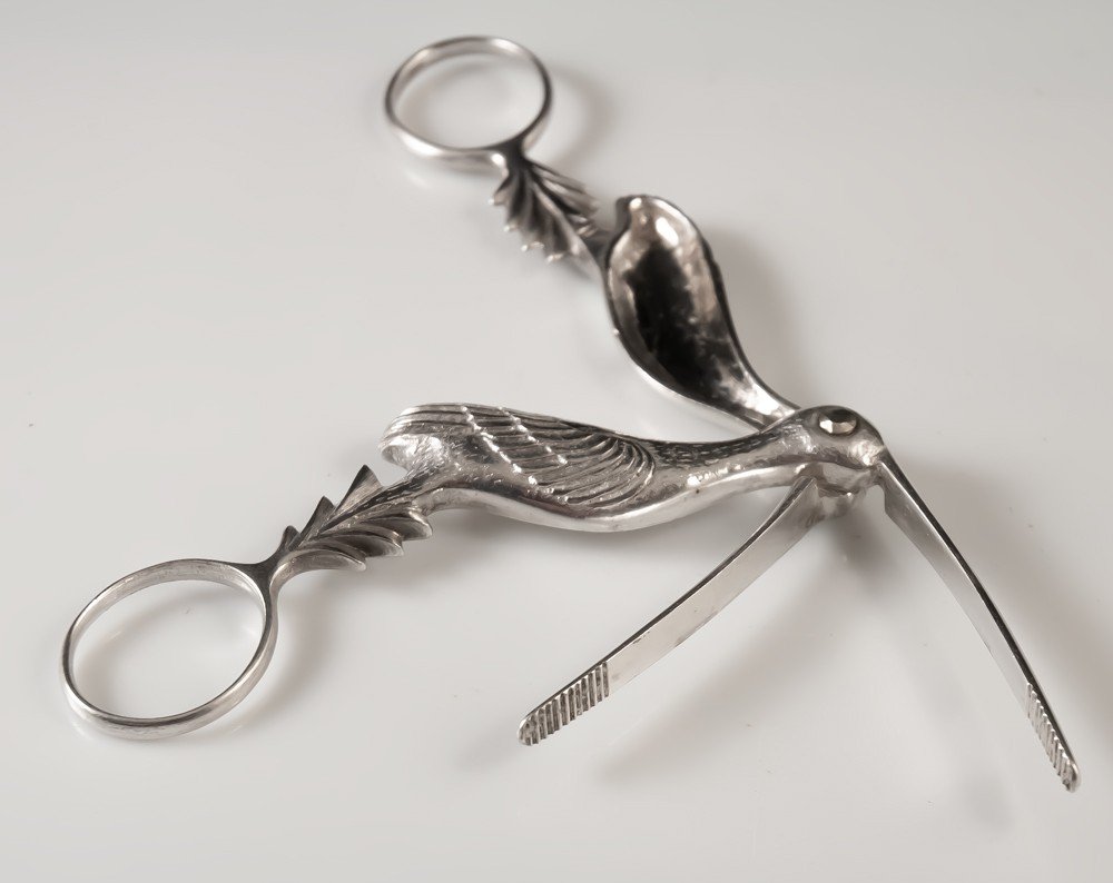 Pair Of Midwife Scissors / Medical Tool-photo-3