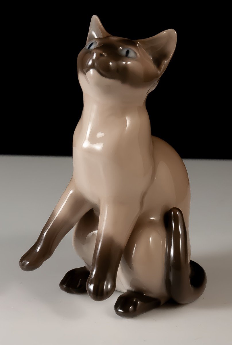 Copenhagen Porcelain Siamese Cat B&g Copenhagen Denmark-photo-1