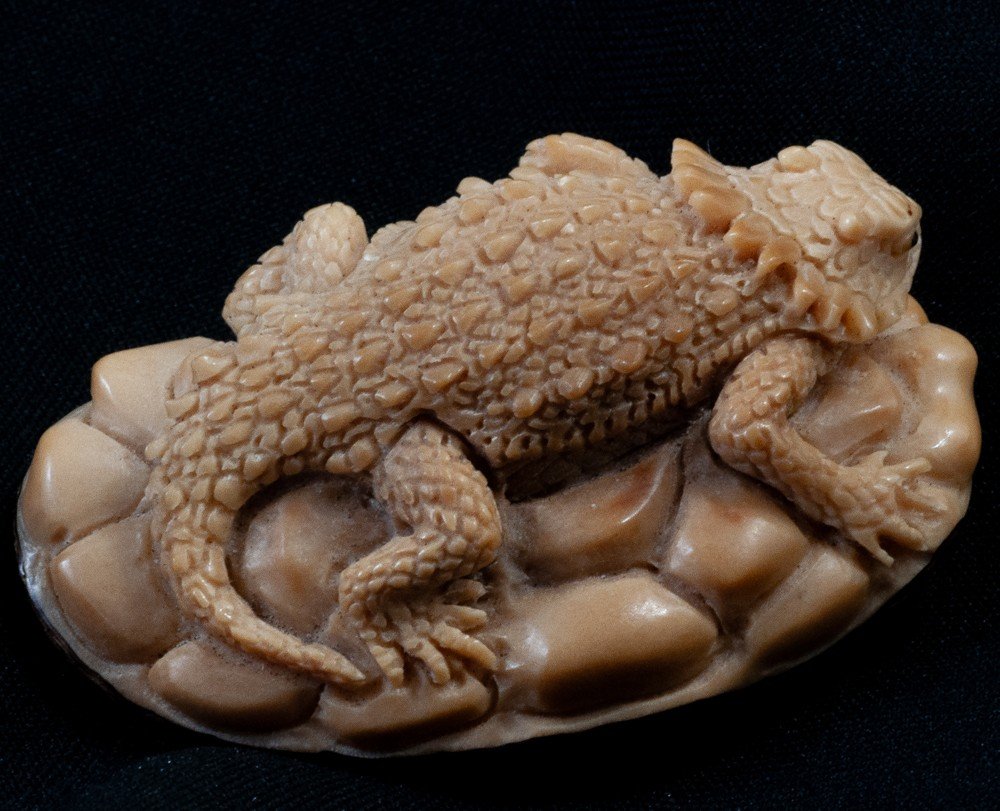 Lizard / Asian Iguana Monobloc Sculpture Tagua / Corozo Nut-photo-4