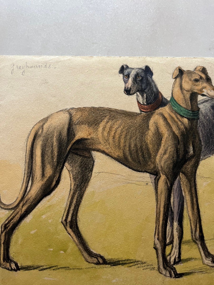 Watercolor Greyhounds Dogs Signed Em Samson XIX-xx-photo-3