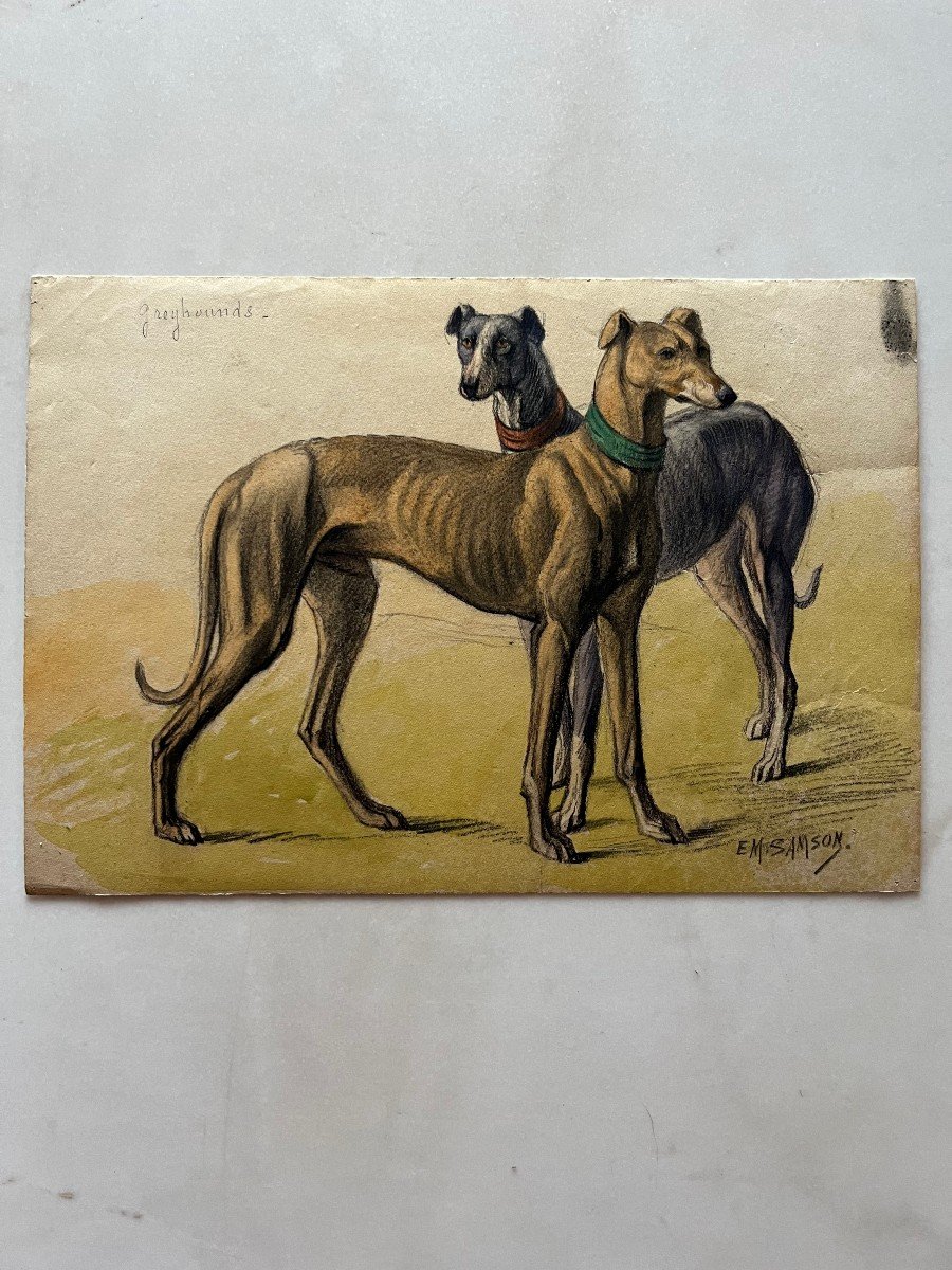 Watercolor Greyhounds Dogs Signed Em Samson XIX-xx