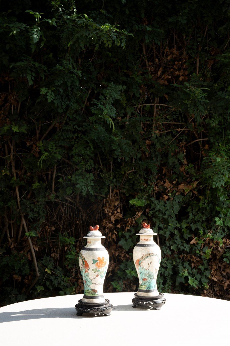 Paire De Vases Chinois à Décor De Scènes Végétales Et Animales -photo-2