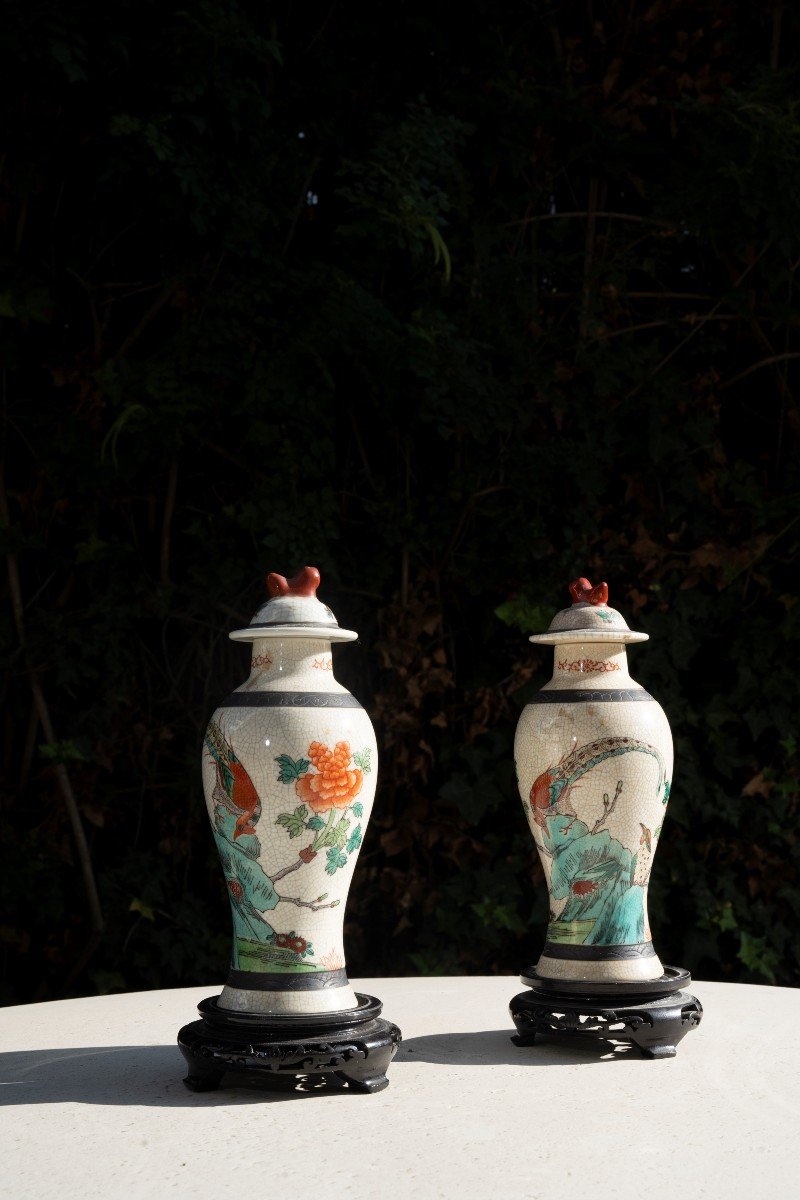 Paire De Vases Chinois à Décor De Scènes Végétales Et Animales 