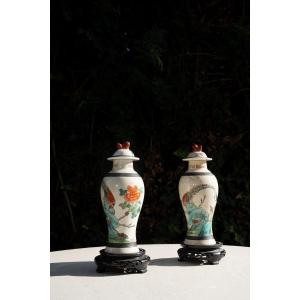 Paire De Vases Chinois à Décor De Scènes Végétales Et Animales 