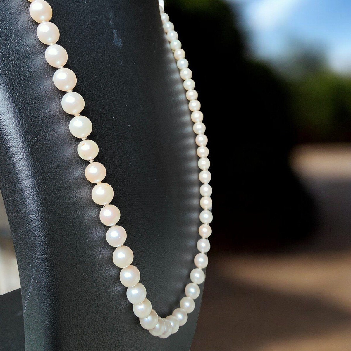 Cased Single Strand White Akoya Pearl Necklace With Diamond Set 18kt Gold Clasp-photo-1