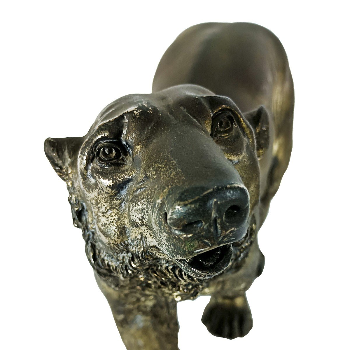 Bear Figurine – Spain 1960-photo-5