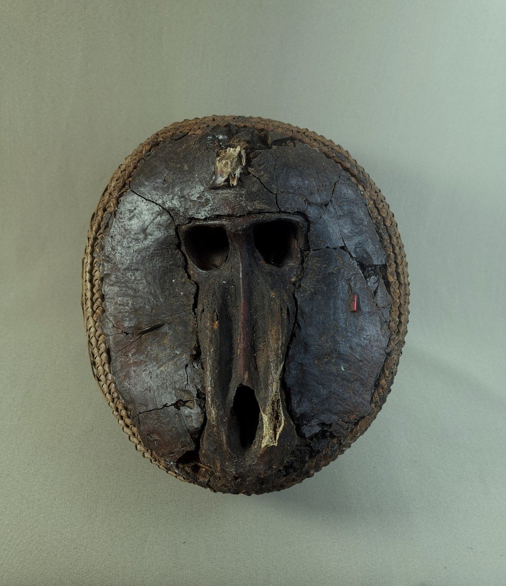 Nkisi M'bumba Fetish, Vili, Democratic Republic Of Congo, Baboon Monkey Skull, African Art-photo-2