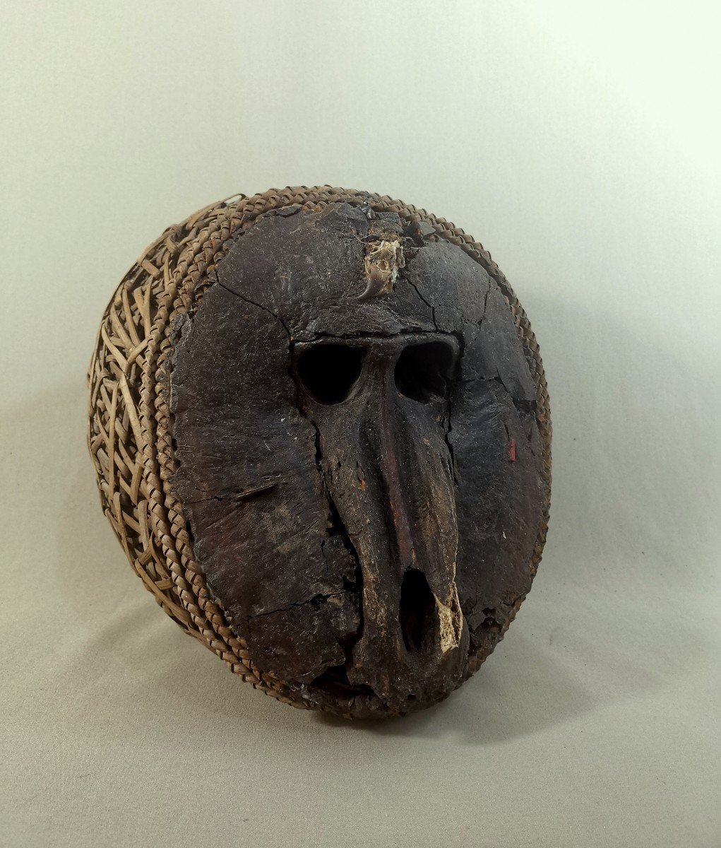 Nkisi M'bumba Fetish, Vili, Democratic Republic Of Congo, Baboon Monkey Skull, African Art-photo-4