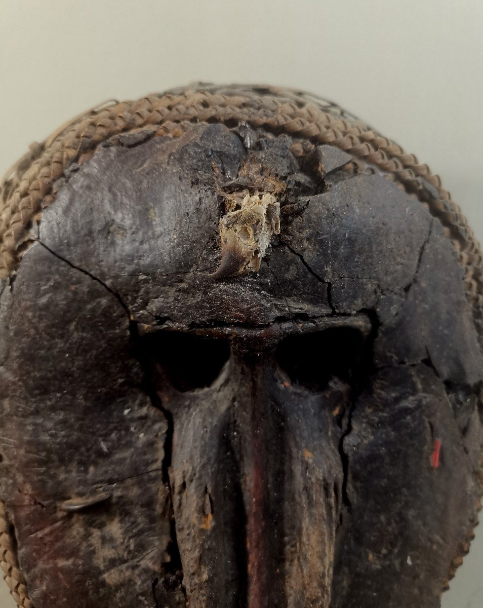 Nkisi M'bumba Fetish, Vili, Democratic Republic Of Congo, Baboon Monkey Skull, African Art-photo-5