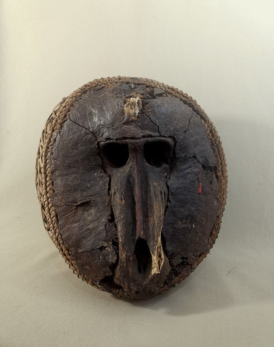 Nkisi M'bumba Fetish, Vili, Democratic Republic Of Congo, Baboon Monkey Skull, African Art-photo-6