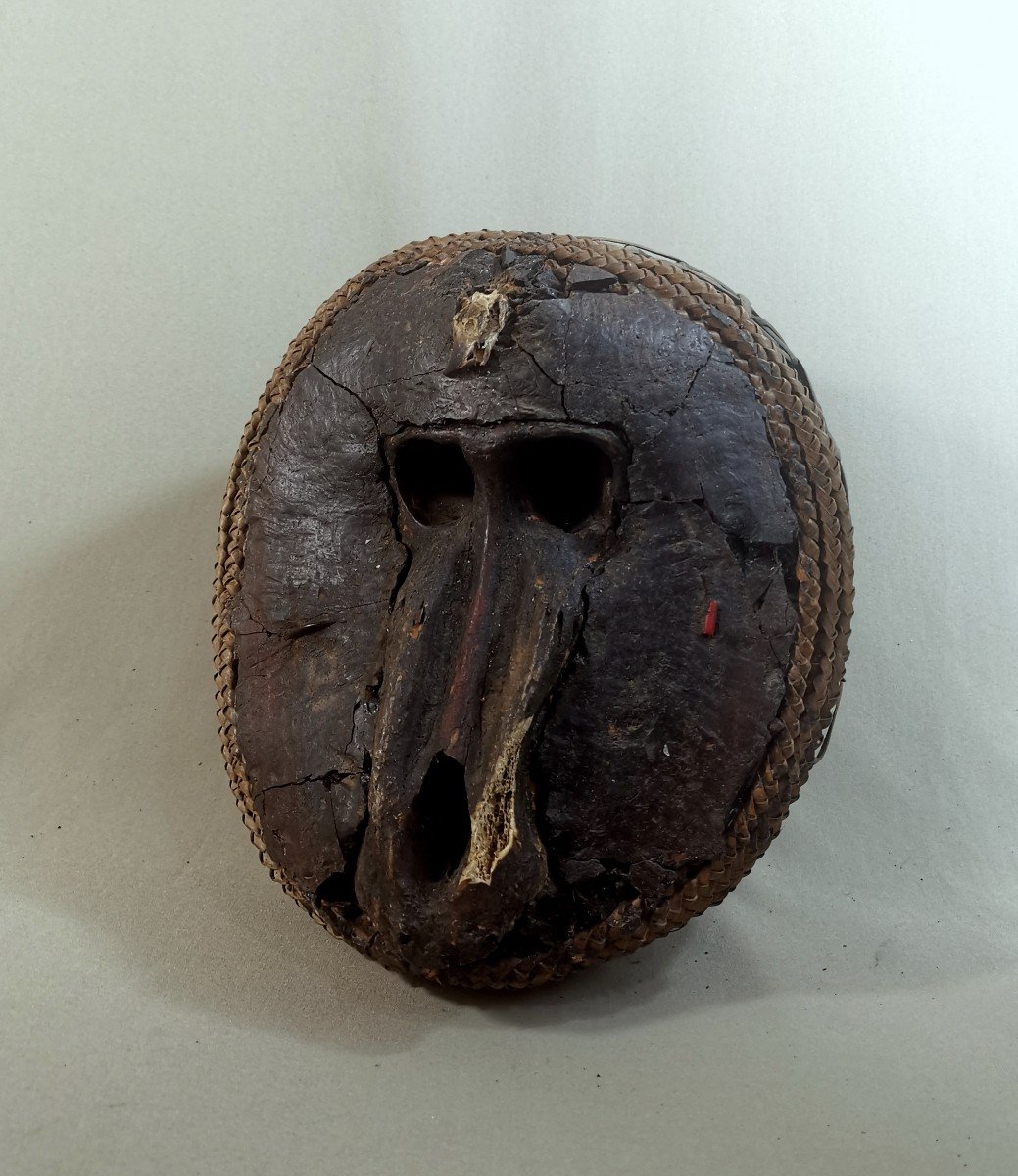 Nkisi M'bumba Fetish, Vili, Democratic Republic Of Congo, Baboon Monkey Skull, African Art