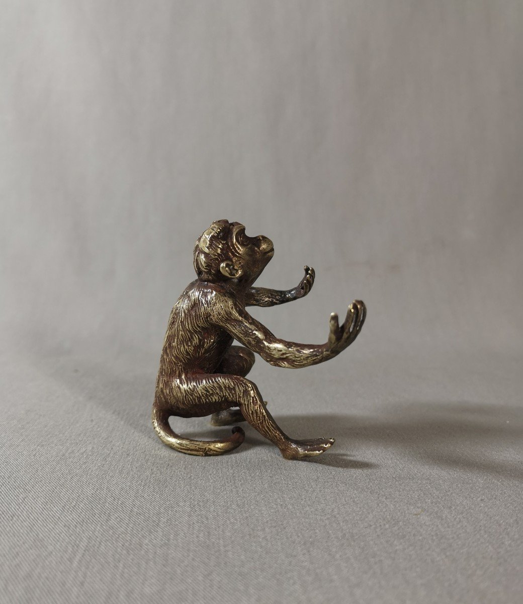 Old 19th Century Vienna Bronze Figuring A Monkey, Marked And Numbered -photo-3