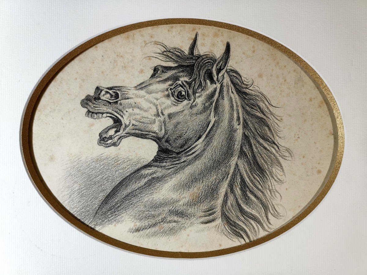 Carle Vernet (1758-1836), Charcoal Drawing, Expression Head Of An Arabian Horse-photo-2