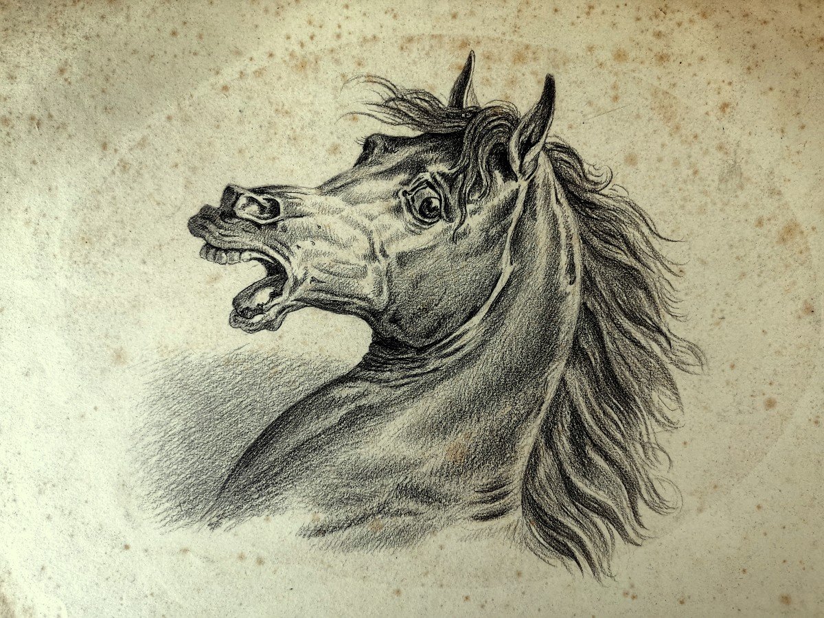 Carle Vernet (1758-1836), Charcoal Drawing, Expression Head Of An Arabian Horse-photo-3