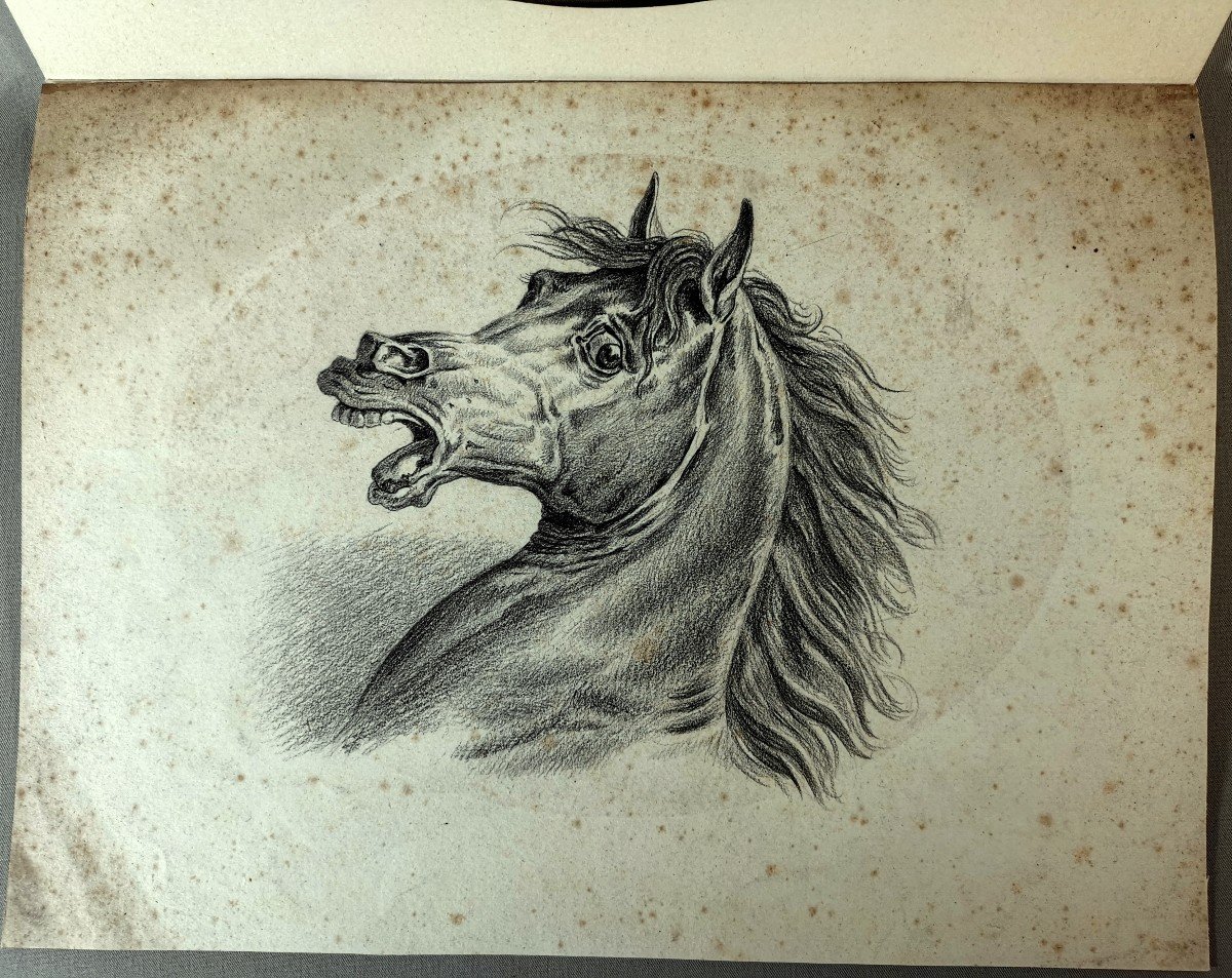 Carle Vernet (1758-1836), Charcoal Drawing, Expression Head Of An Arabian Horse-photo-4