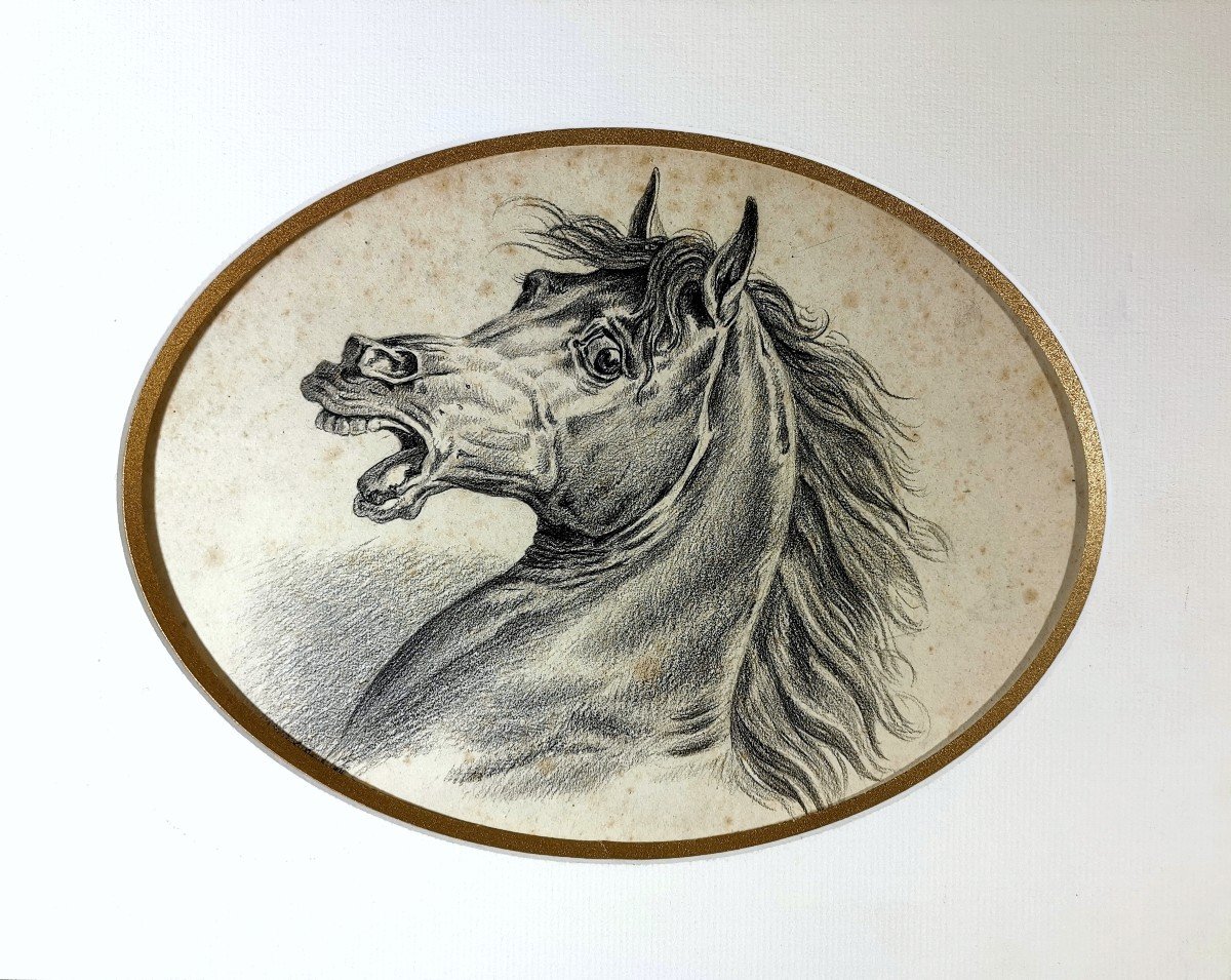 Carle Vernet (1758-1836), Charcoal Drawing, Expression Head Of An Arabian Horse-photo-1