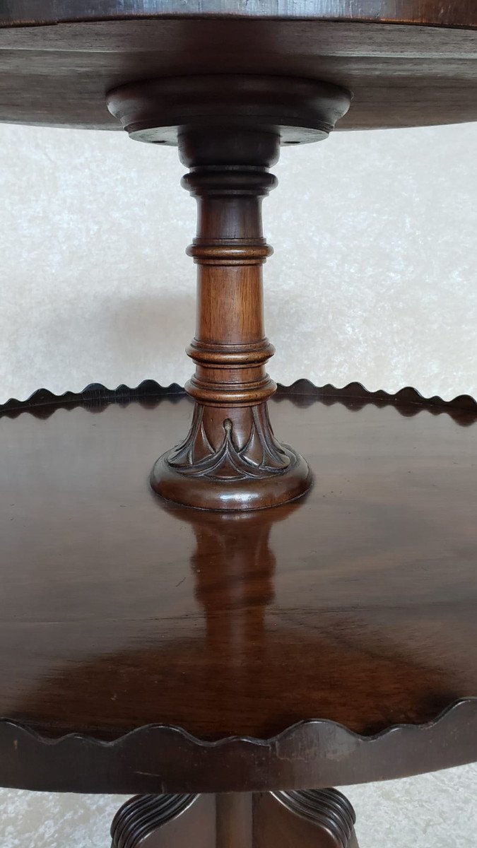 Mahogany And Rosewood Dumb Waiter 19th Century-photo-7