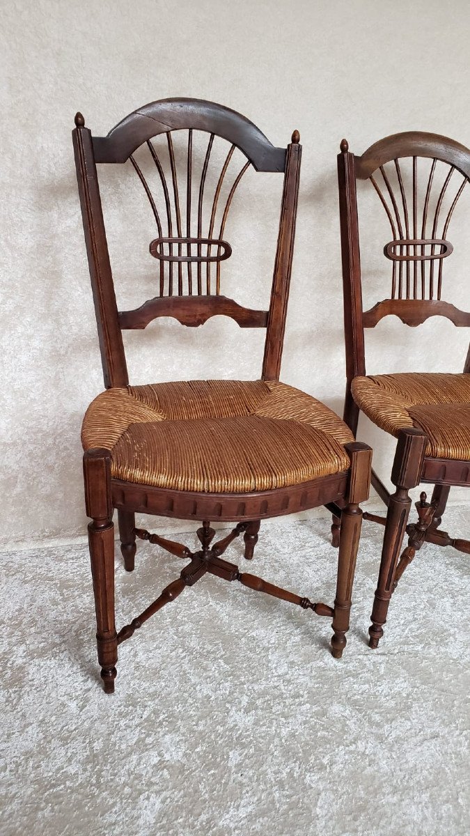 Paire de chaises paillées en hêtre XIX° - Décor gerbe de blé.-photo-2