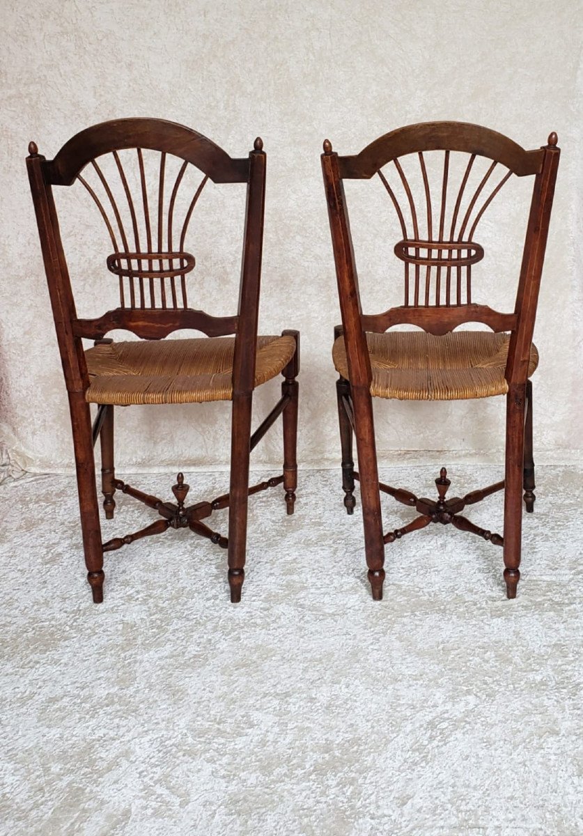 Paire de chaises paillées en hêtre XIX° - Décor gerbe de blé.-photo-4