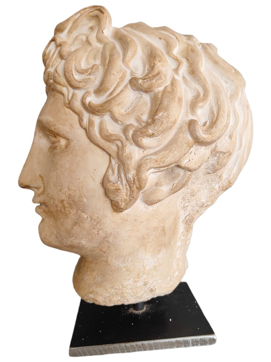 Classic Terracotta Head-photo-3