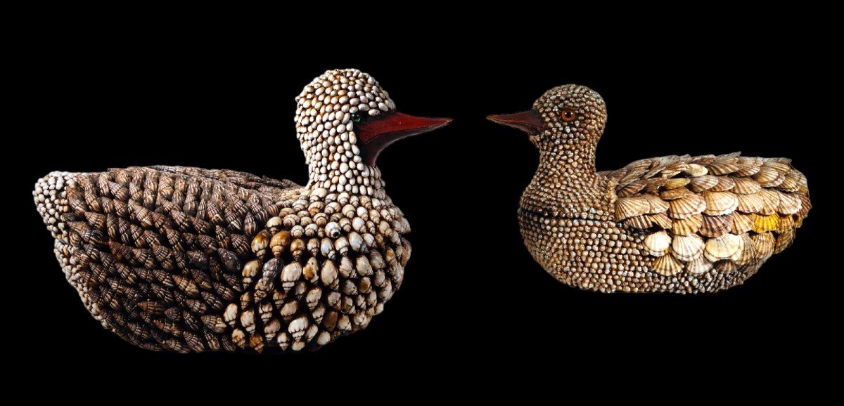 Boîtes De Canards Incrustés De Coquillages Anthony Redmile