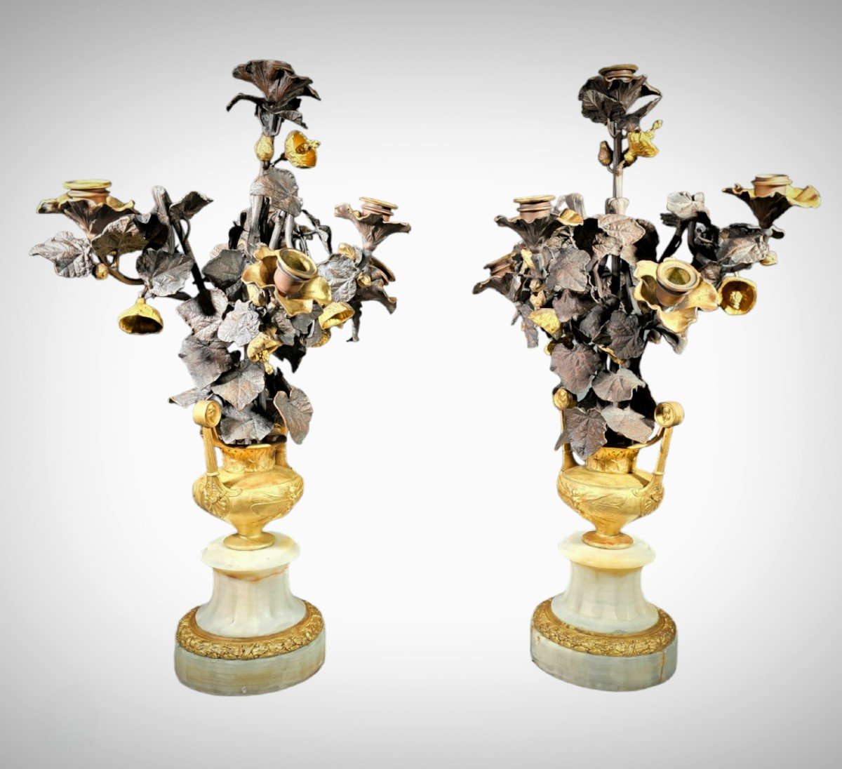 Superbes Vases En Bronze Doré Avec Fleurs, Probablement Italiens Du XIXe Siècle