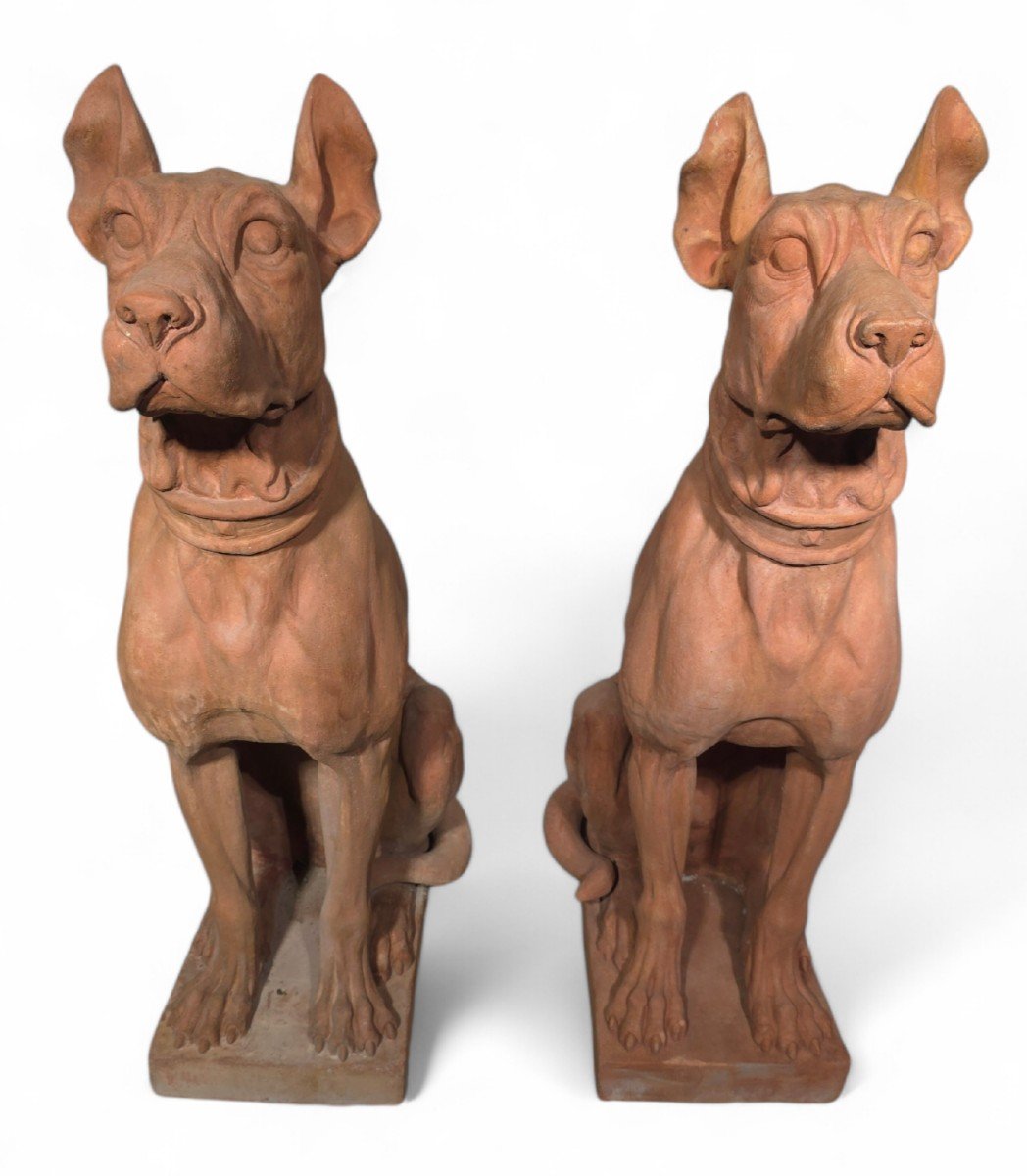 Dog Statues, Early 20th Century, Terracotta, Set Of 2-photo-4