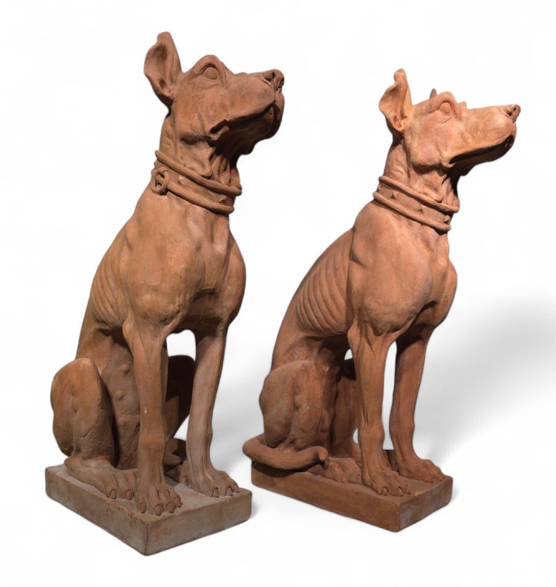 Dog Statues, Early 20th Century, Terracotta, Set Of 2-photo-1