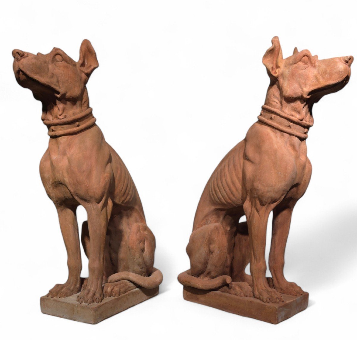 Dog Statues, Early 20th Century, Terracotta, Set Of 2-photo-3