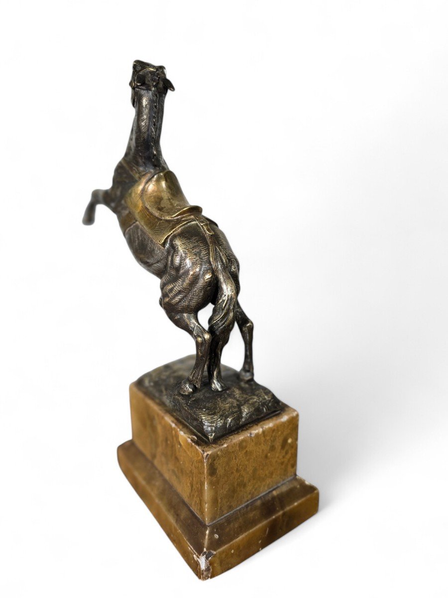 Large 19th Century Bronze Horse On Onyx Base-photo-3