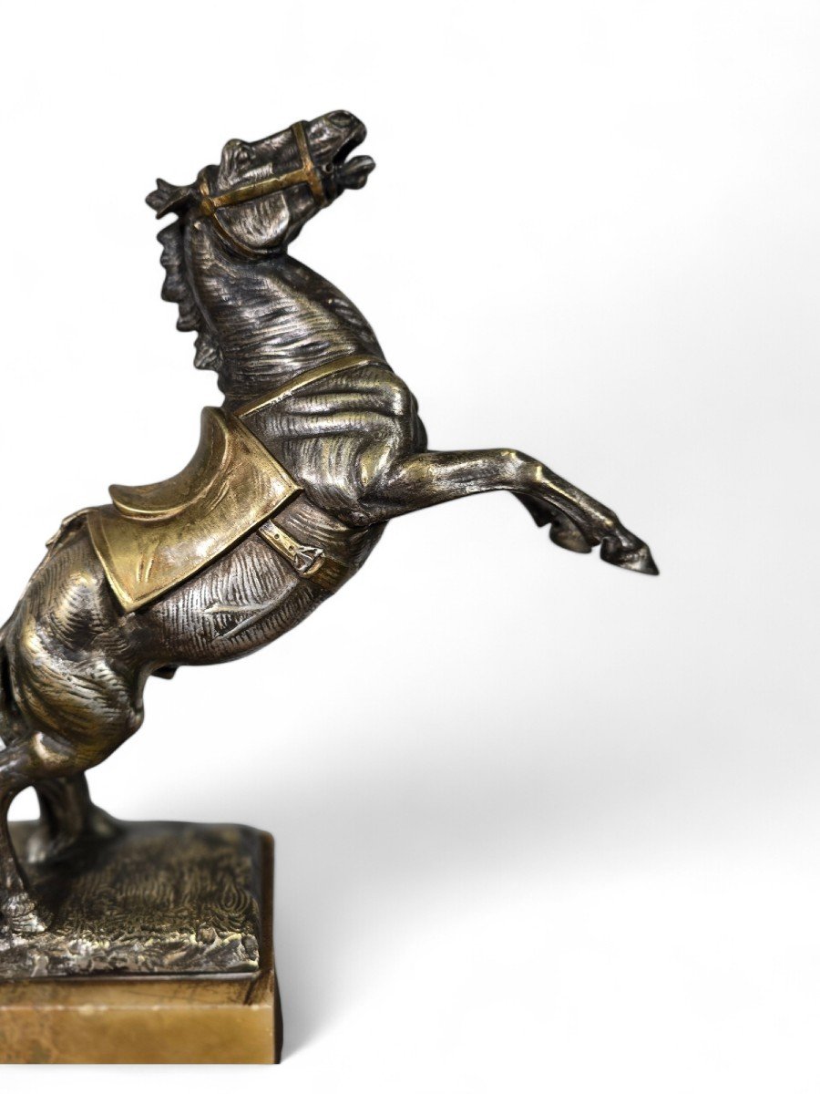 Large 19th Century Bronze Horse On Onyx Base-photo-6