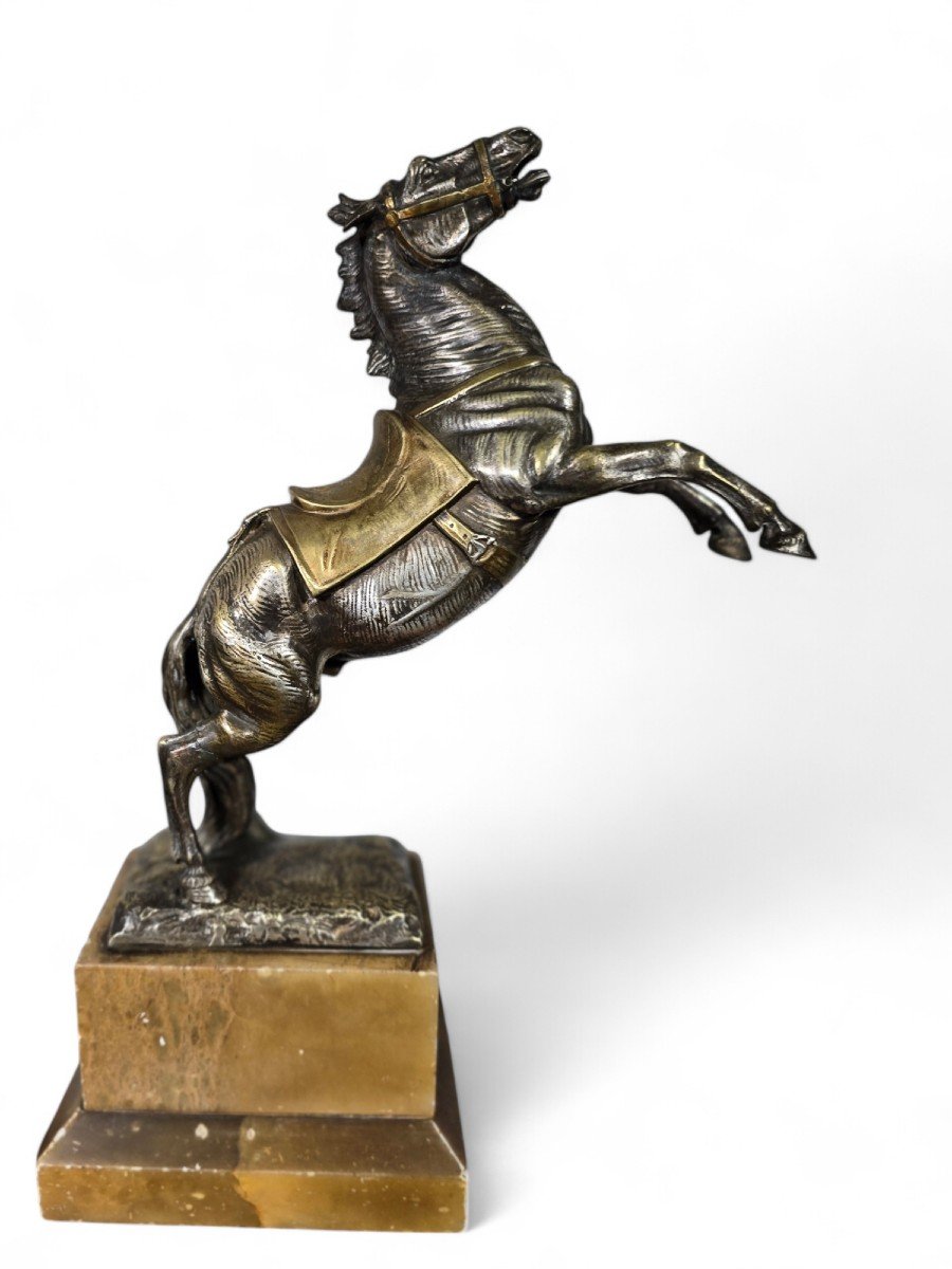 Large 19th Century Bronze Horse On Onyx Base-photo-8