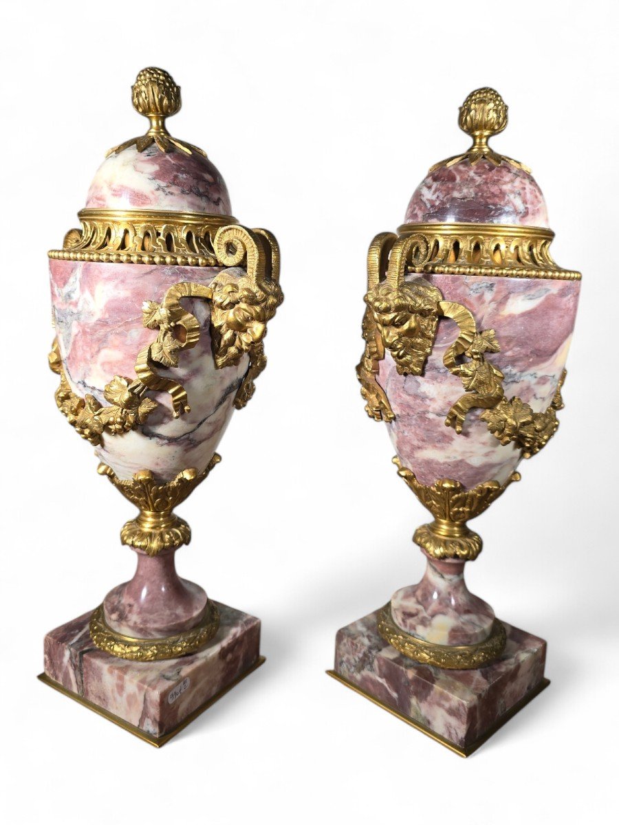 Pair Of 19th Century French Gilt Bronze And Marble Vases