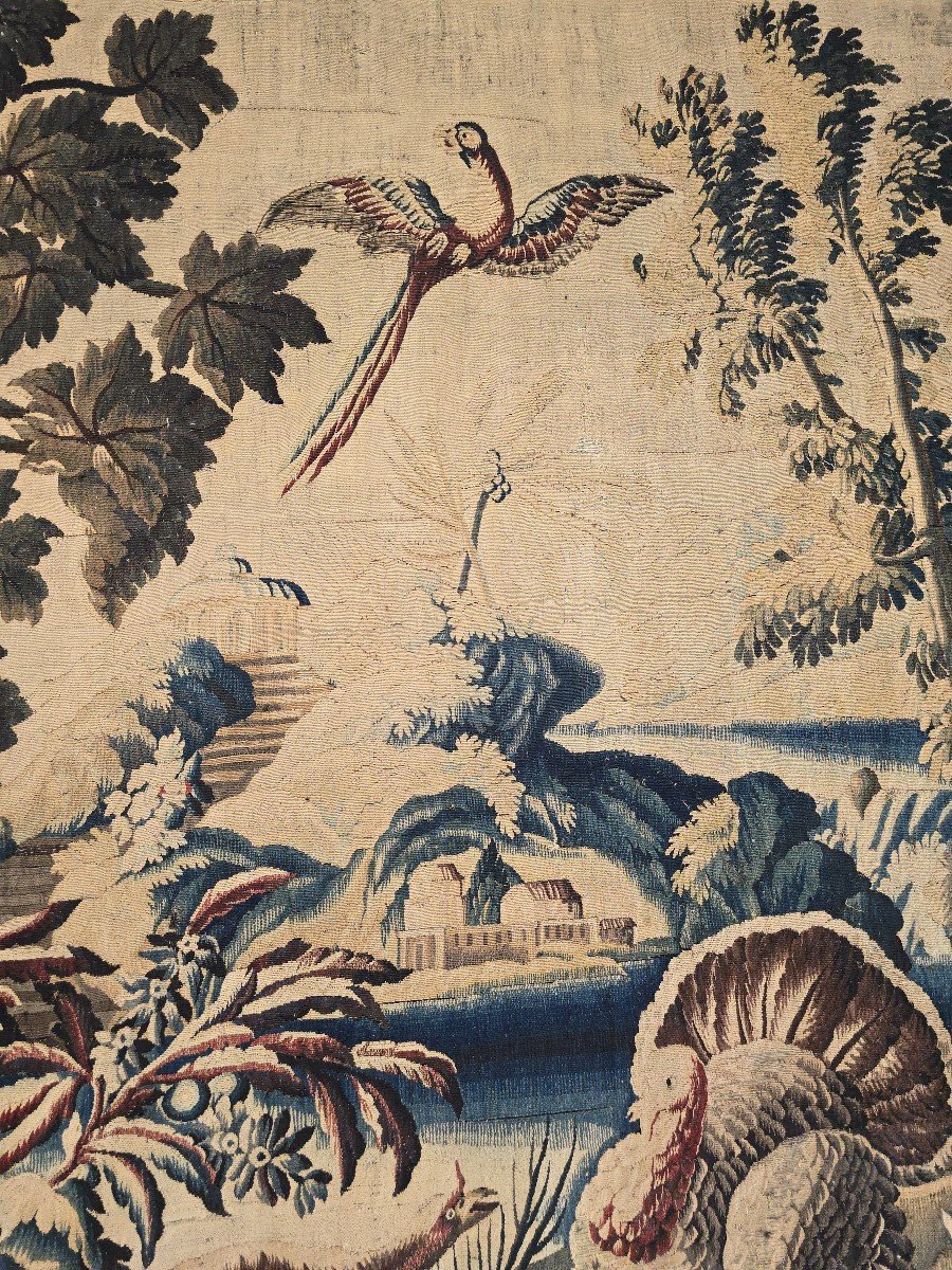 Grande Tapisserie d'Aubusson Du XVIIIe Siècle – Oiseaux Exotiques-photo-4