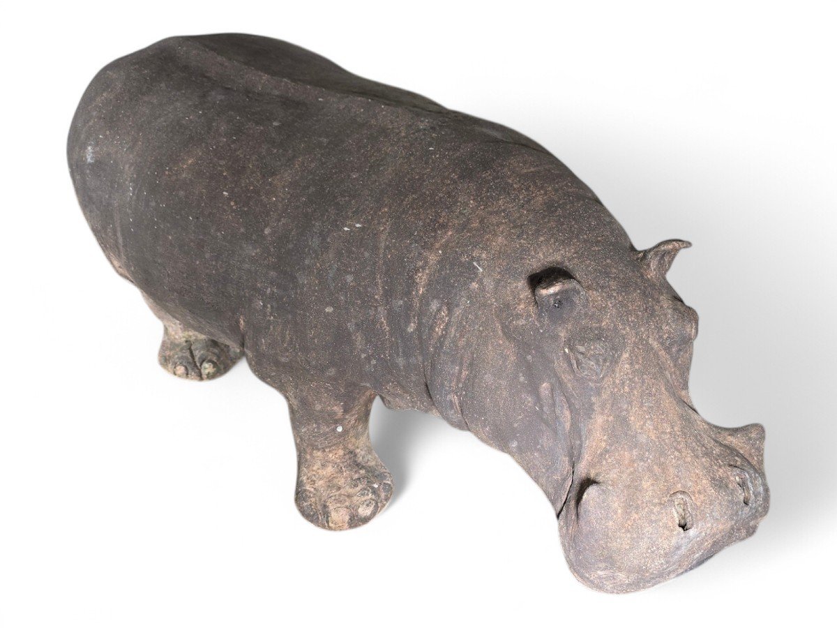 Mid-20th Century Terracotta Hippopotamus, Tuscany-photo-2