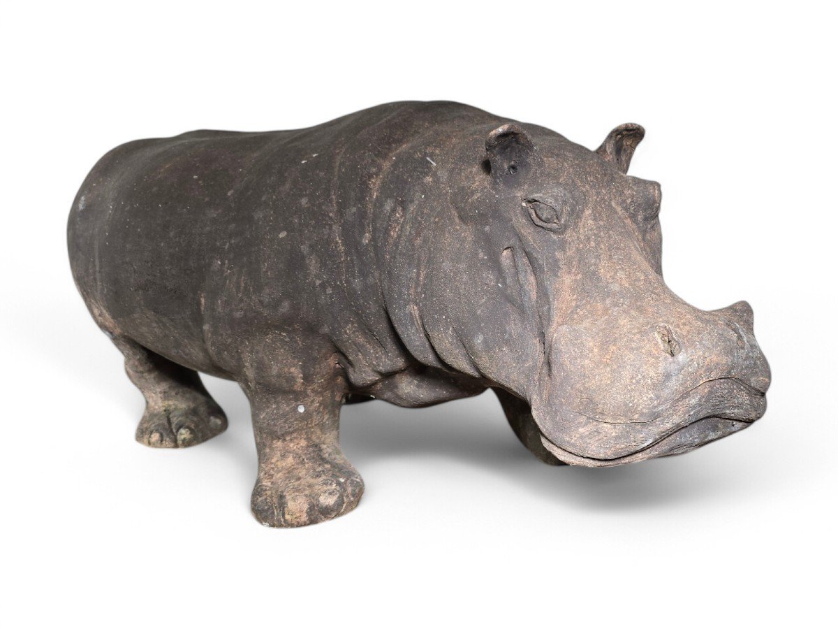 Mid-20th Century Terracotta Hippopotamus, Tuscany-photo-3