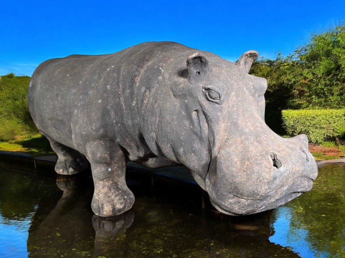 Mid-20th Century Terracotta Hippopotamus, Tuscany-photo-7