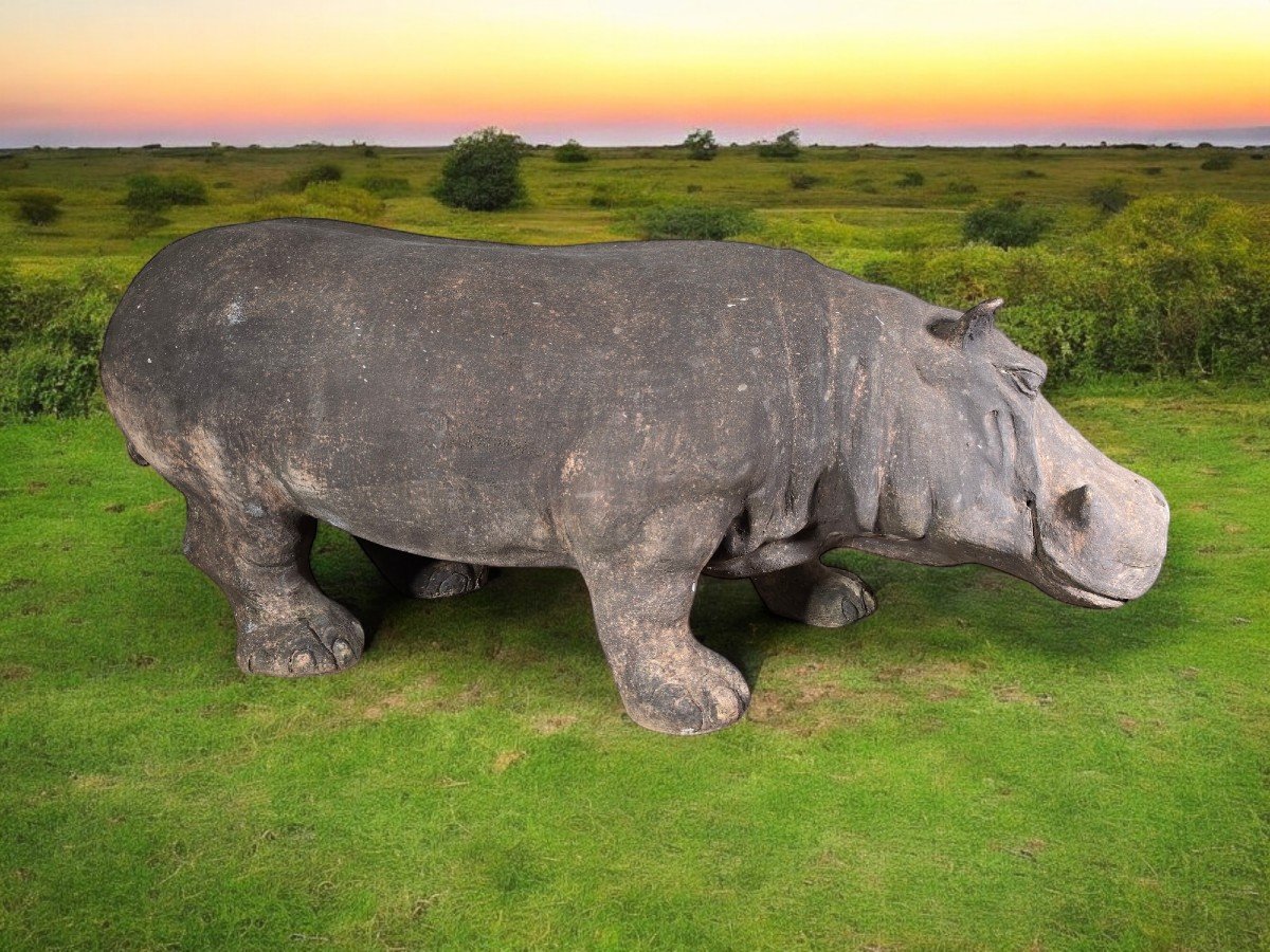 Mid-20th Century Terracotta Hippopotamus, Tuscany-photo-8