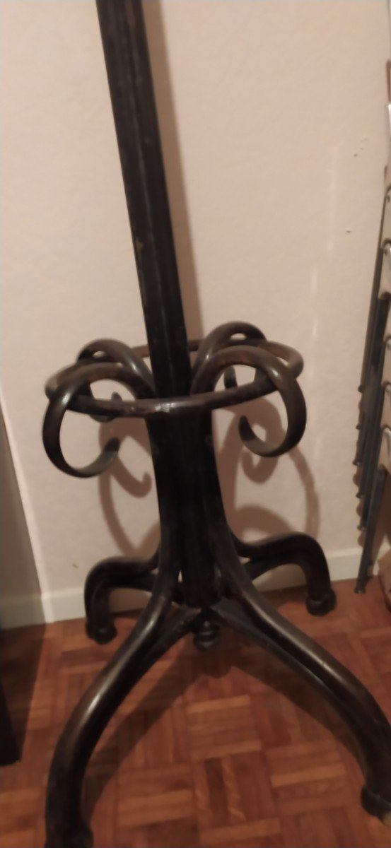 Thonet 1906 Large “peroquet” Coat Rack In Bent Wood-photo-4