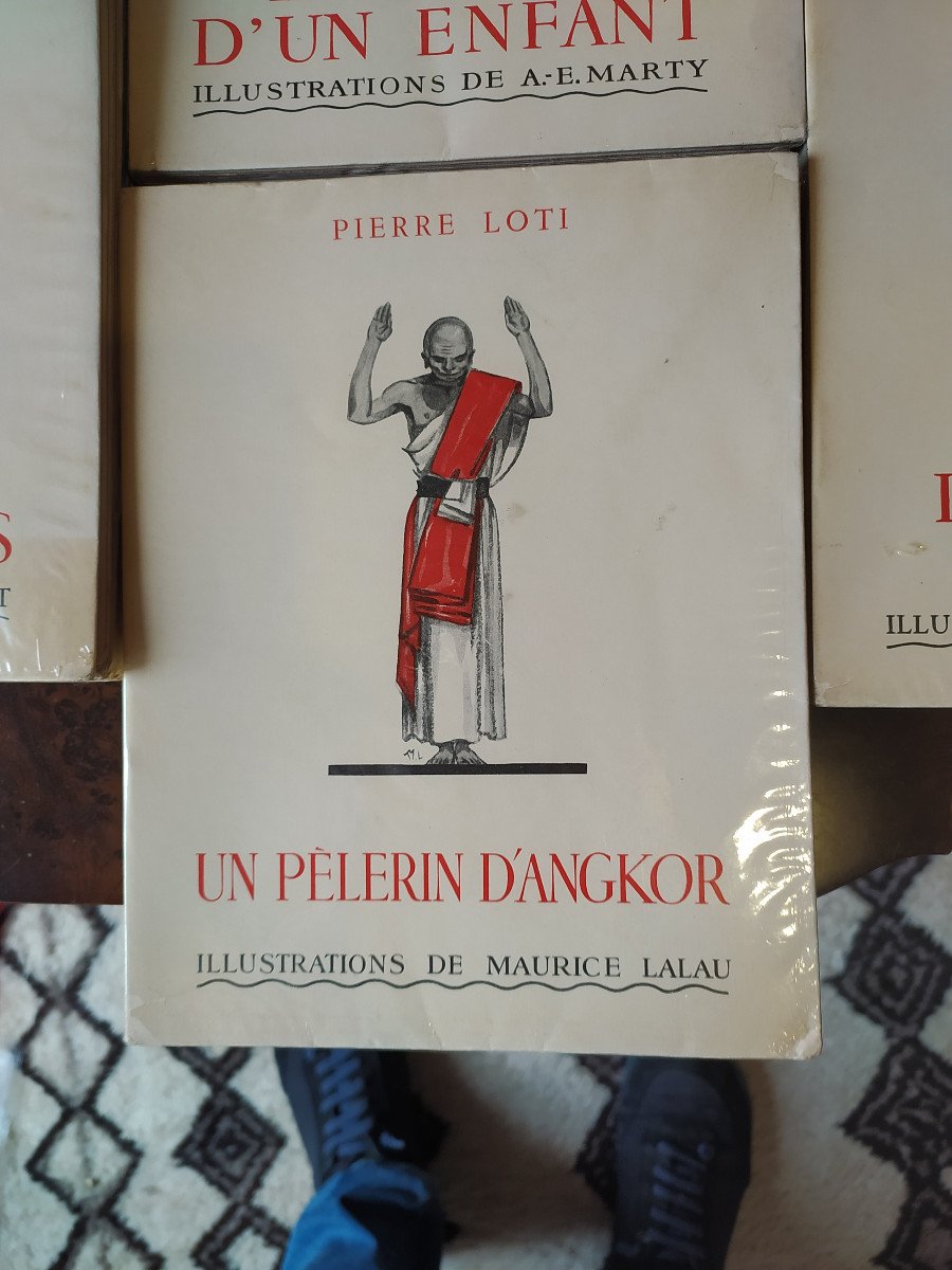 4 Vol Pierre Loti-photo-3