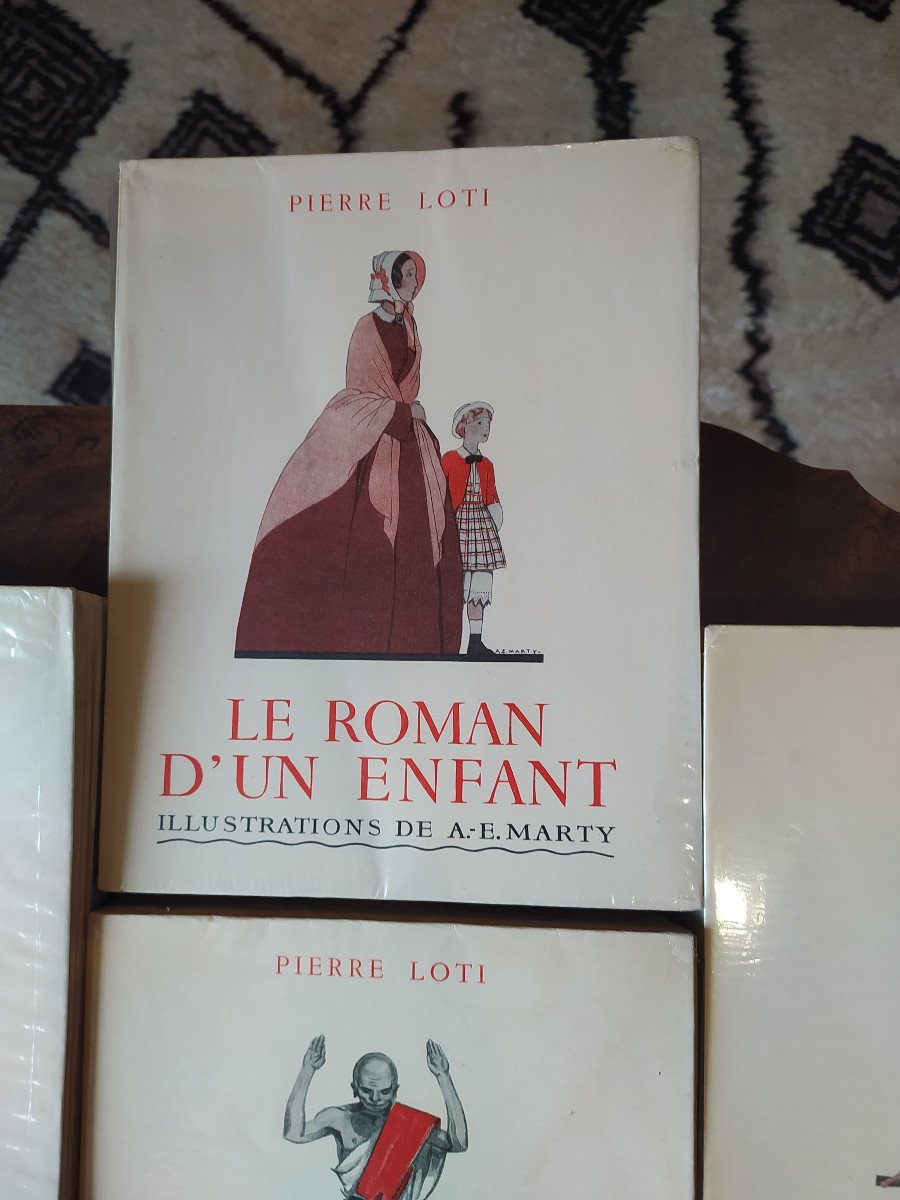 4 Vol Pierre Loti-photo-4