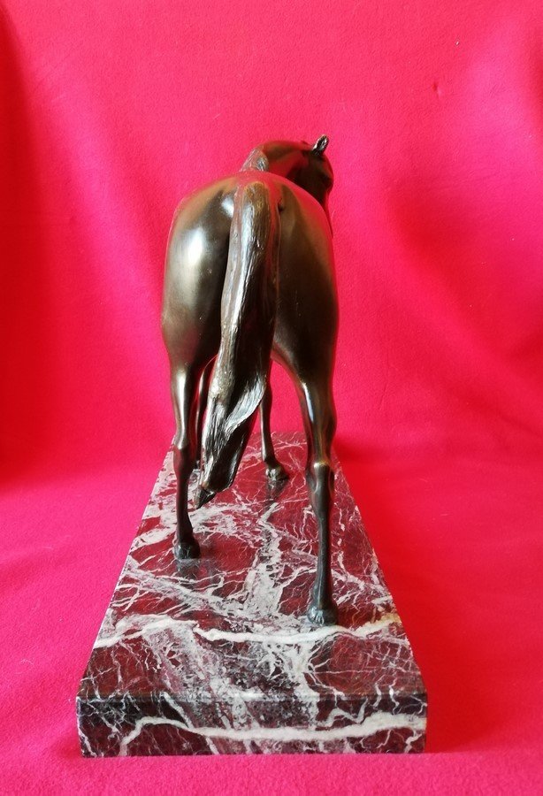 Cheval en bronze-photo-4