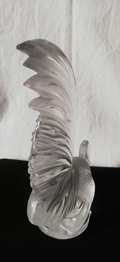 Coq "Lalique"-photo-4